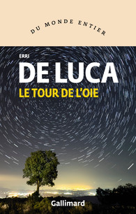 Le tour de l’oie