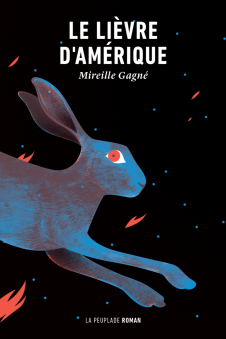 Le lièvre d’Amérique
