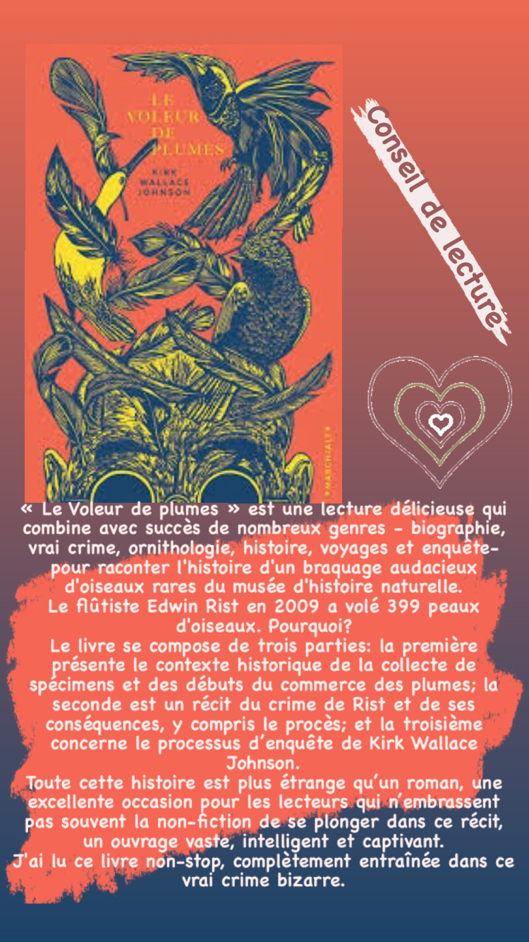 LE VOLEUR DE PLUMES