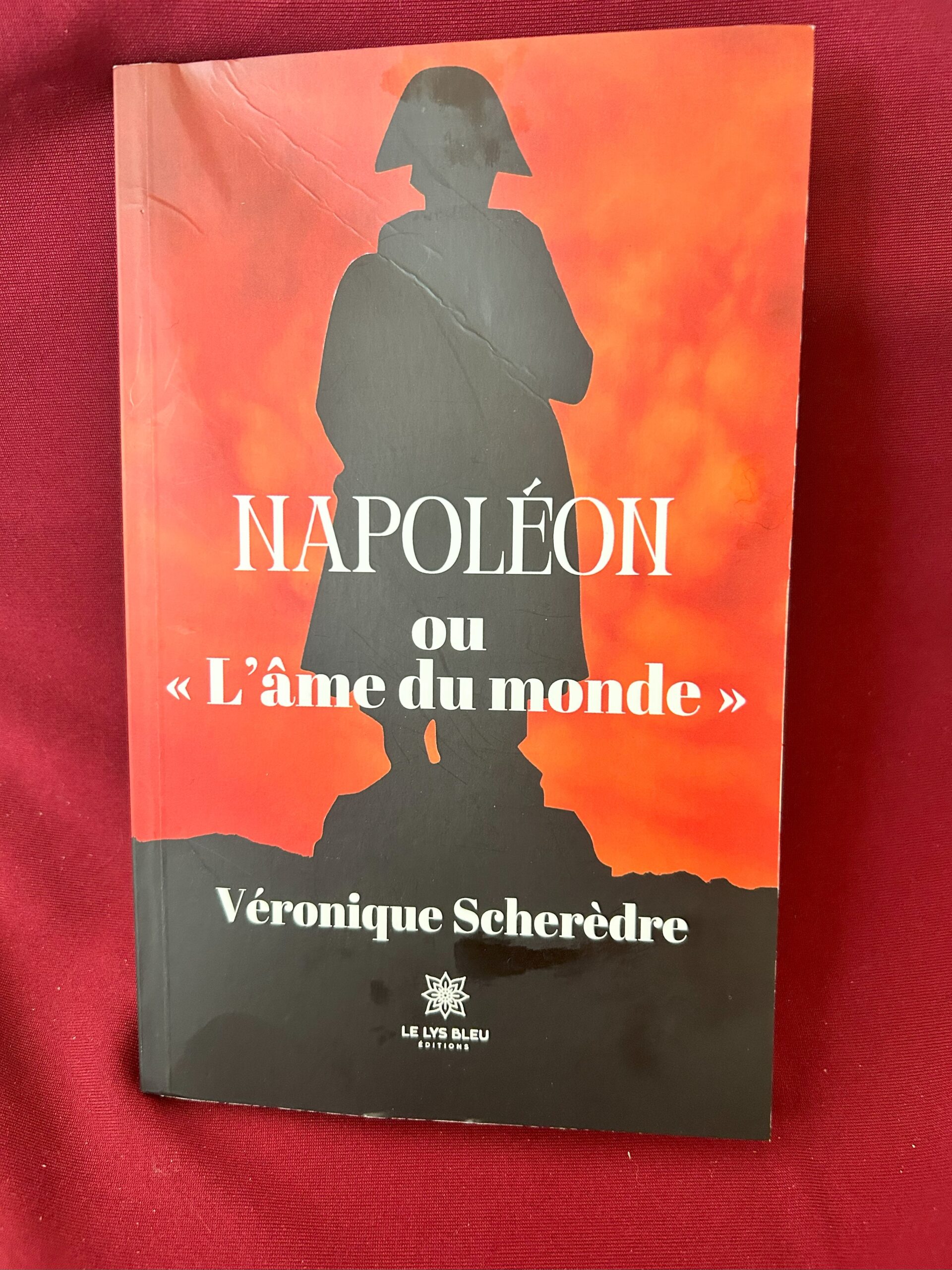 Napoléon ou « l&rsquo;âme du monde » – Scherèdre – le Lys bleu