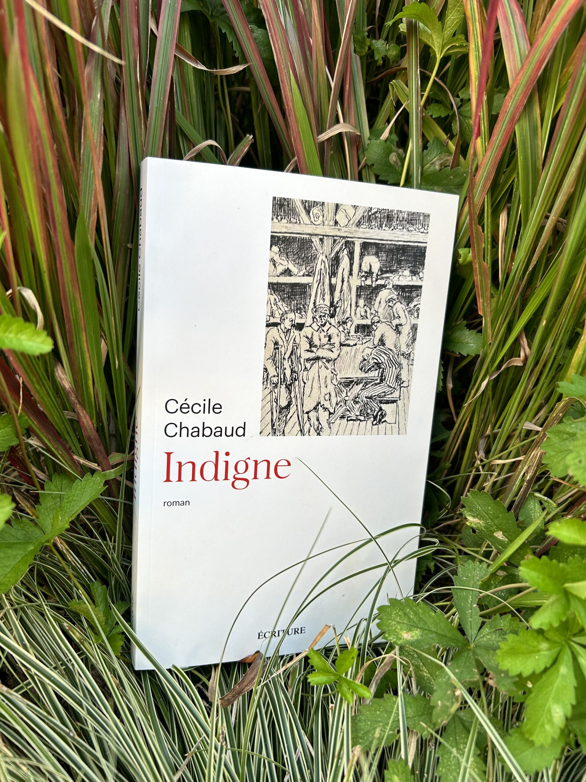 Indigne – Cécile Chabaud – Archipel