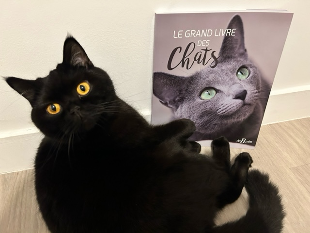 Le Grand Livre de Chats – @editionsdeboree