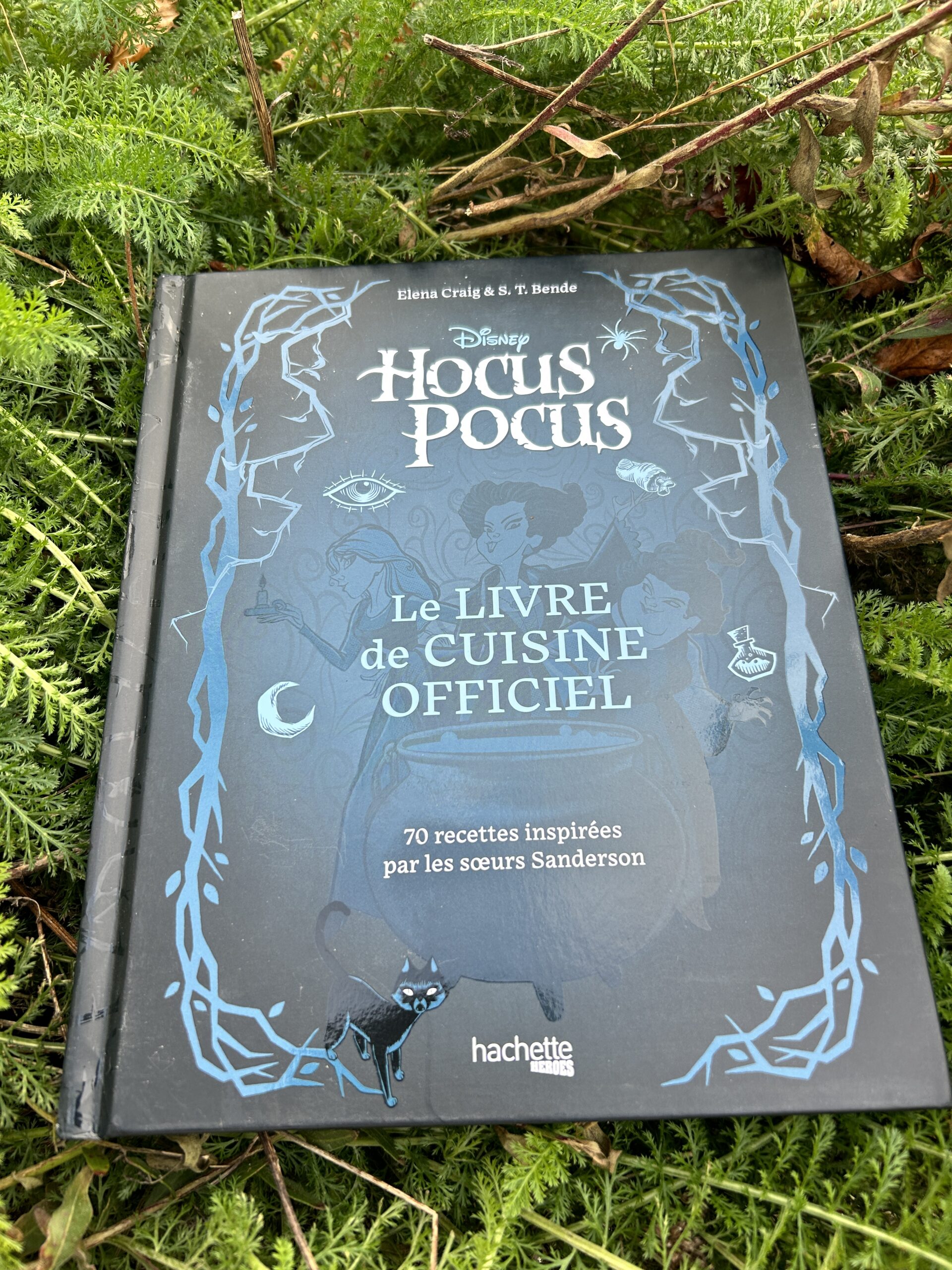 Hocus Pocus chez Hachette Heroes, Magique