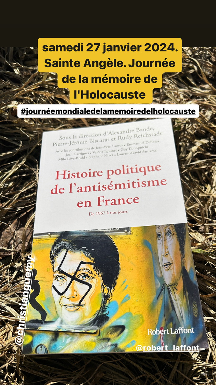 Histoire politique de l&rsquo;antisémitisme en France. De 1967 à nos jours – Robert Laffon