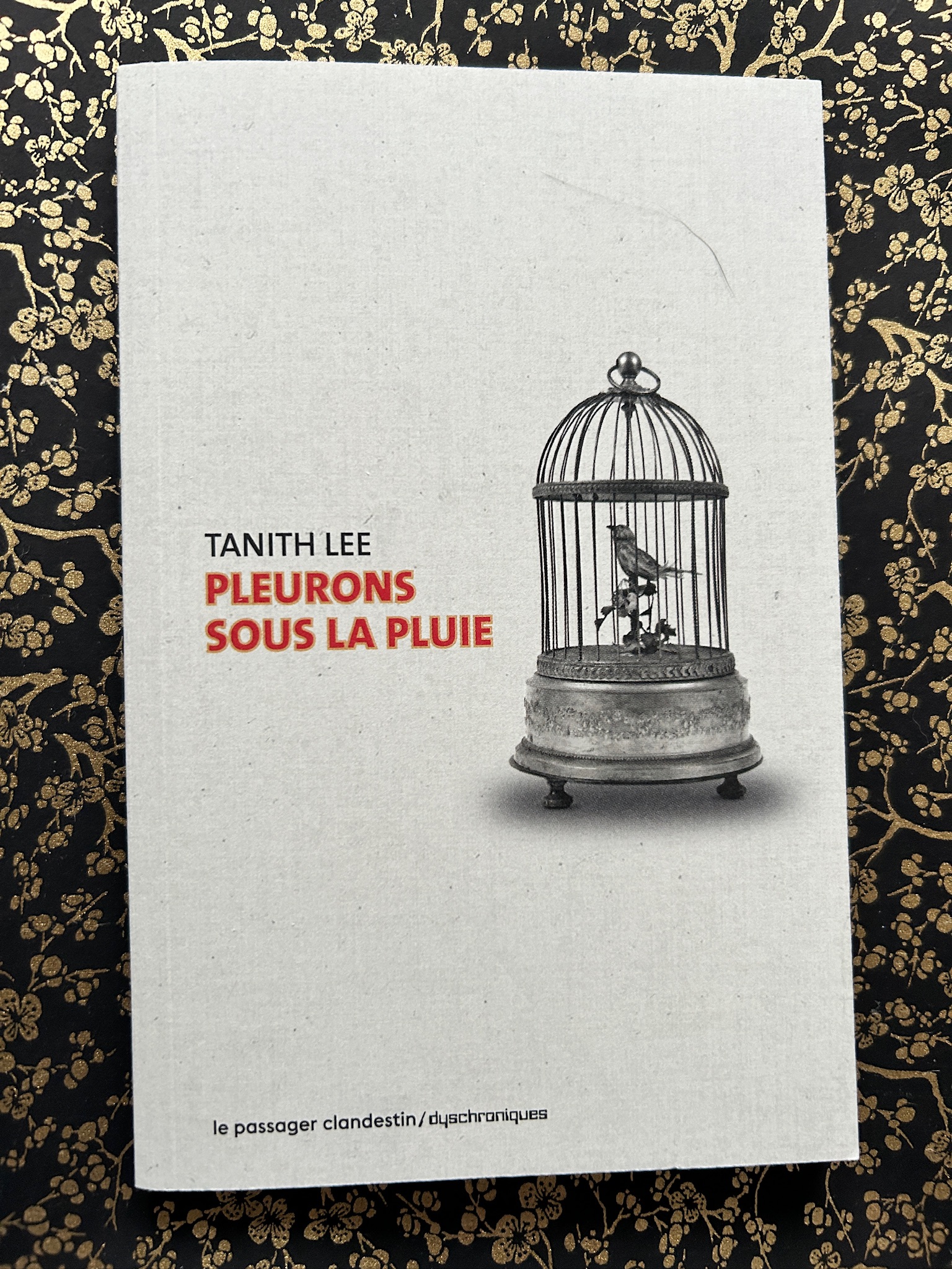 Pleurons sous la pluie / Tanith LEE / LE PASSAGER CLANDESTIN