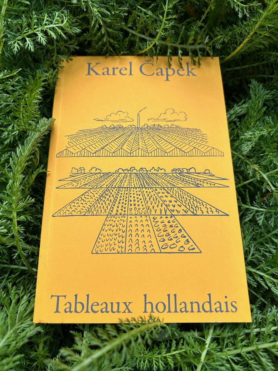 Tableaux hollandais / Karel Capek / La Baconnière