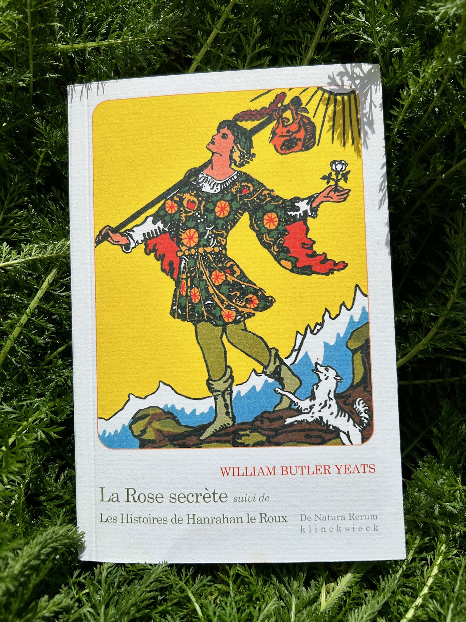 William Butler Yeats / La Rose secrète: Suivi de Les Histoires de Hanrahan le roux / Klincksieck Illustrated Éditio