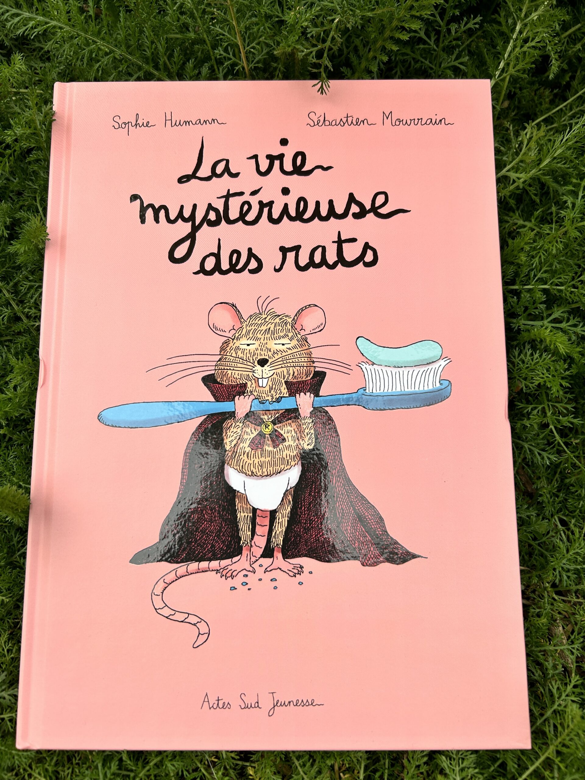 La vie mystérieuse des rats / Sophie HUMANN – Sébastien MOURRAIN Illustrations / Actes Sud Jeunesse