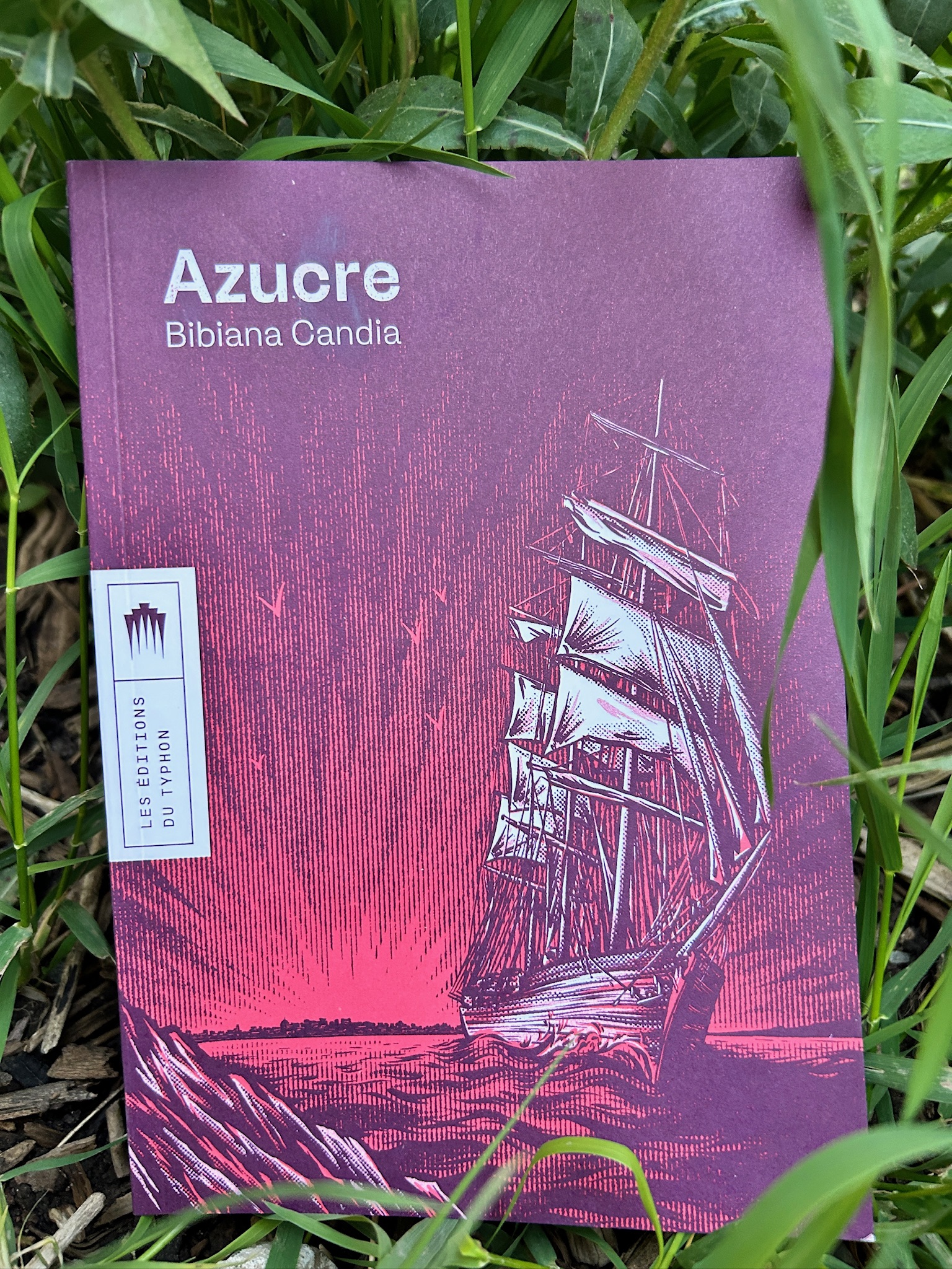 Azucre – Une épopée / Bibiana Candia (traduction conjointe Emilie Fernandez) / Editions Du Typhon