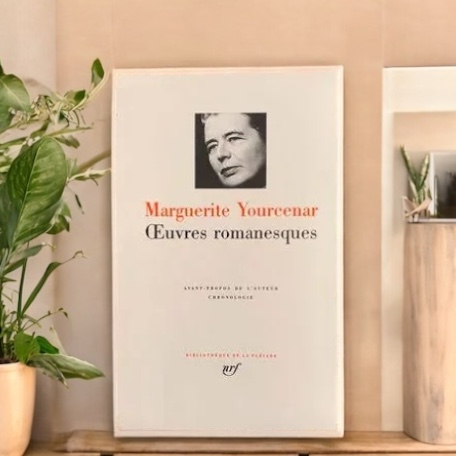 Bibliothèque de la Pléiade : Un Voyage Littéraire Hors du Temps