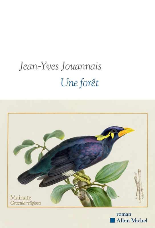 Une forêt / Albin Michel / Jean-Yves Jouannais